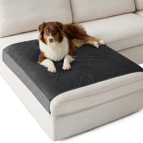 Bedsure Waterproof Couch Cover for Dogs Washable - Waterproof Blanket for Large Dogs Couch Sofa Cozy, Lightweight Furniture Protector for Pet Cat Quick Drying Puppy, Charcoal, 40x50IN - color: Charcoal, size: 40x50 inch