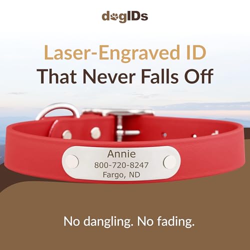 dogIDs Personalized Dog Collar – Custom Waterproof Soft-Grip Biothane with Laser-Engraved Nameplate, Durable & Odor-Resistant, USA Made | Red, 1 in x 16 in (Fits Necks Size 14-18 in) - color: Red, size: 1 in x 16 in (Fits Necks Size 14-18 in)