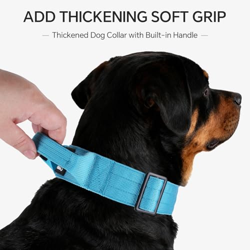 Tactical Thick Dog Collar, Adjustable Training Nylon Dog Collar, Heavy Duty Metal Buckle & Control Handle for Small Medium Large Dogs (L, Blue) - color: Blue, size: L