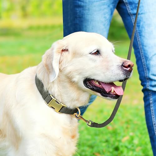 Genuine Leather Dog Collar - Adjustable Pet Collar with Quick Release Metal Buckle, Soft Skin Friendly Real Leather Collar for Small, Medium, Large Dogs (Dark Green Collar + Rope, M：Fit 12-20" Neck) - color: Dark Green Collar + Rope, size: M：Fit 12-20" Ne