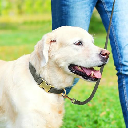 Genuine Leather Dog Collar - Adjustable Pet Collar with Quick Release Metal Buckle, Soft Skin Friendly Real Leather Collar for Small, Medium, Large Dogs (Dark Green Collar + Rope, M：Fit 12-20" Neck) - color: Dark Green Collar + Rope, size: M：Fit 12-20" Ne