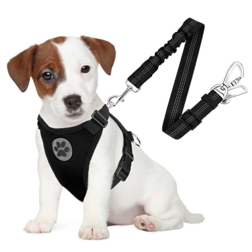 SlowTon Dog Seat Belt Harness for Car, Dog Car Harness Adjustable Mesh Breathable & Dog Seatbelt Safety Tether with Elastic Bungee for Small Medium Large Pets(Black, Double Clip, S) - color: A-Black, size: Small