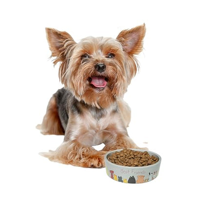 SPOT Best Friends Pet Food Dish - Food or Water Ceramic Bowl for Pets, Ideal for Small Dogs, Dishwasher Safe, 1.75 Cups (14oz) Capacity - 5in, Light Grey - size: 5 inch