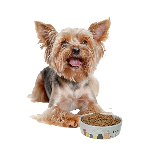 SPOT Best Friends Pet Food Dish - Food or Water Ceramic Bowl for Pets, Ideal for Small Dogs, Dishwasher Safe, 1.75 Cups (14oz) Capacity - 5in, Light Grey - size: 5 inch