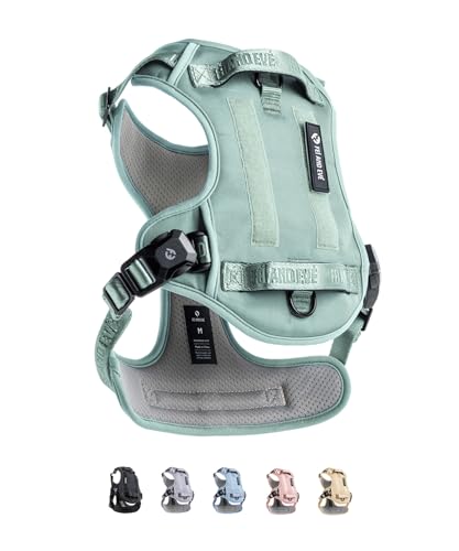 2026 New Edition, Fei & Eve MagEase Dog Harness - Instant Magnetic Buckle | 3-Point No-Pull Control | Heavy-Duty 900D Nylon | Dual Safety Handles | Breathable Mesh | Adjustable Fit | Small,Green - color: Glacier Green, size: S