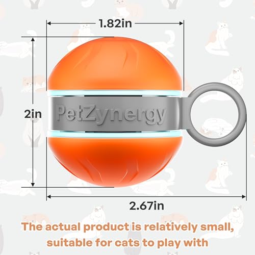 Automatic Cat Ball Toy,Self-Moving Interactive Cat Toy with Bird Chirping Sounds,3 Play Modes,USB-C Rechargeable – Electronic Cat Toys for Indoor Cats & Essential Pet Cat Supplies - color: Orange