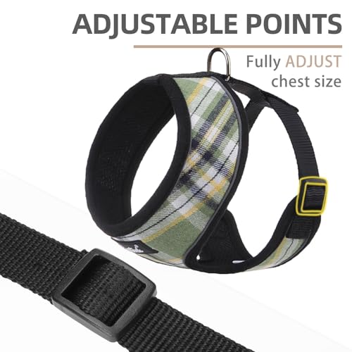 PUPTECK Soft Mesh Dog Harness and Leash Set Pet Puppy Cat Comfort Padded Vest No Pull Harnesses, Green/Yellow, XS - color: Green&Yellow, size: XS (NECK: 10", CHEST: 10"-14")