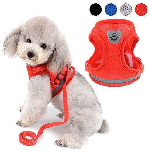 Zunea Dog Harness for Small Sized Dogs No Pull Puppy Harness and Leash Set Adjustable Reflective Step-in Vest Harness Soft Mesh Escape Proof Cat Harness for Walking, for Girl Boy Pet Kittens Red XS - color: Red, size: XS (Chest:10.2 Inch, for 1-3lbs)