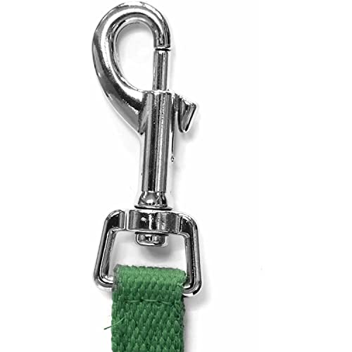 Downtown Pet Supply - Long Dog Leash - Dog Training Leash - Recall & Obedience Dog Training Tools - Nylon - 150 ft - Hunter Green Dog Leash - color: Hunter Green, size: 150 Foot