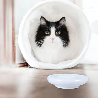 PRETYZOOM Ceramic Cat Water Bowl Pet Feeding Bowl with Anti-Spill Design White Closed Rim Pet Feeder for Indoor Cats for Food and Water