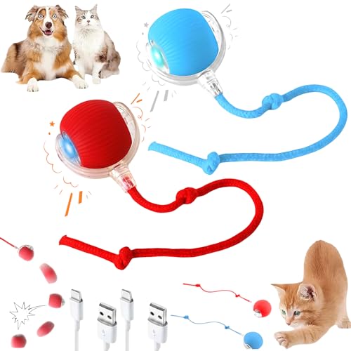 2026 New 2Pack Cat Ball Kitten Toys for Indoor Interactive Kitty Ball Toy Speedy Tail 360° Automatic Rolling Electric Moving Rechargeable,Smart Pet Chase with Rope for Bored Cats (RED & Blue) 2 Pcs - color: 1 RED BALL & 1 BLUE BALL (PACK OF 2)