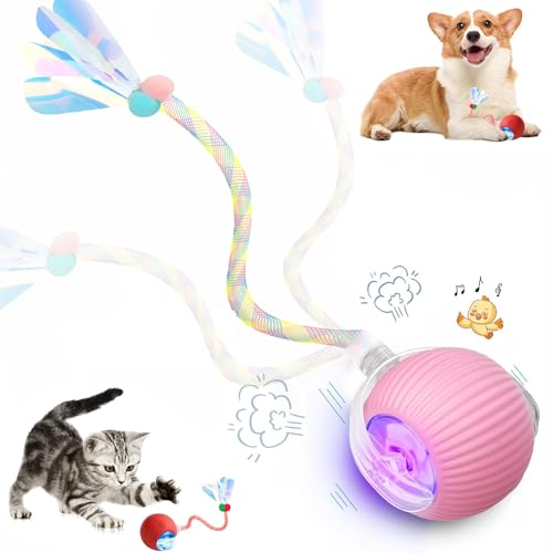 Speed 2.0 Tail Interactive Cat Toys for Indoor Cats, Chirping & Motion Activate Ca t Toy, Smart Kitten Rolling Ball Moving Ball Toys, Rechargeable Dog Cat Bal l for Enrichment Exercise (Pink) - color: Pink