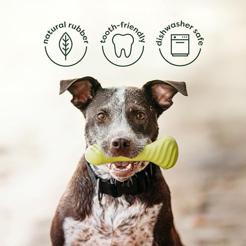Benebone Bacon Wishbone/Rubber Bone Medium, 2-Pack - size: 2 Pack, style: Bone/Wishbone