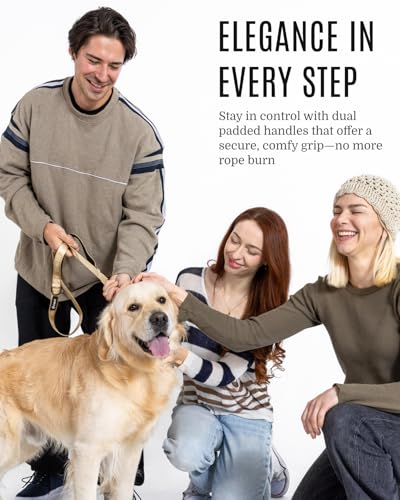 Fei & Eve Classic Dog Leash - 6FT, Dual Padded Handles, 360° Swivel Hook, Heavy Duty 210D Nylon - No-Pull Design with Traffic Control Handle - for Small/Medium/Large Dogs, Champagne - color: Champagne, size: 6FT