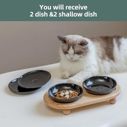 Havniva Cat Bowls Elevated 5.6” Ceramic Cat Bowl with Stand Whisker Friendly Cat Dishes, Cat Food & Water Bowl Set with Two Heights Options, Raised Cat Food Plates for Kitten Anti-Slip Pet Bowls - color: 2 Bowls+2 Shallow Dishes+Stand- Black