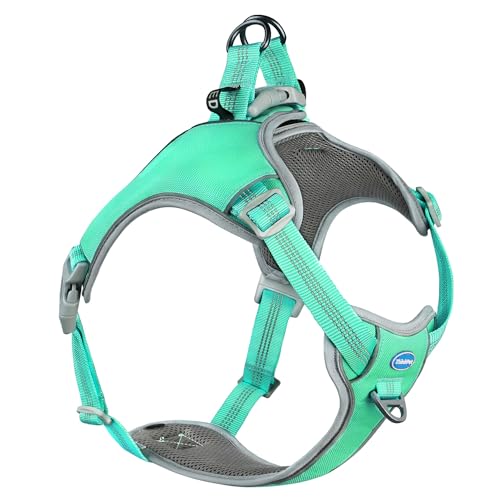 ThinkPet No-Pull Harness, Escape Proof Step-in Reflective Dog Vest Adjustable Breathable Halter Harness with Back/Front Clip for Better Control - color: Teal, size: Medium