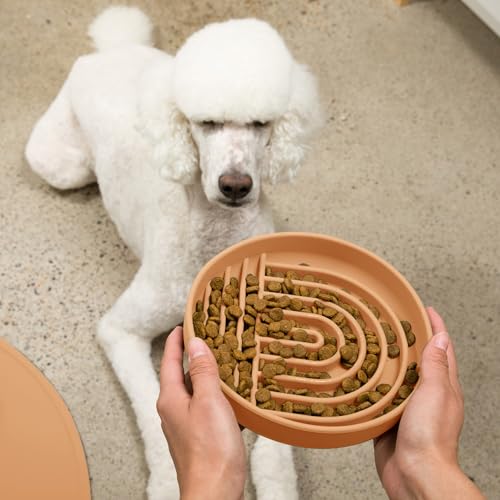 Should We Go? Slow Feeder for Dogs & Puppies, The Slowdown Bowl Silicone Slow Eating, Lick Mat Design, Reduces Gulping, Fits 2.5 Cups, 9.5” Across x 1.5” Tall, Mealtime Challenge, Large-Terracotta - color: Terracotta - Rainbow Design, size: Large (9.5” Ac