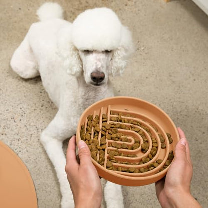 Should We Go? Slow Feeder for Dogs & Puppies, The Slowdown Bowl Silicone Slow Eating, Lick Mat Design, Reduces Gulping, Fits 2.5 Cups, 9.5” Across x 1.5” Tall, Mealtime Challenge, Large-Terracotta - color: Terracotta - Rainbow Design, size: Large (9.5” Ac