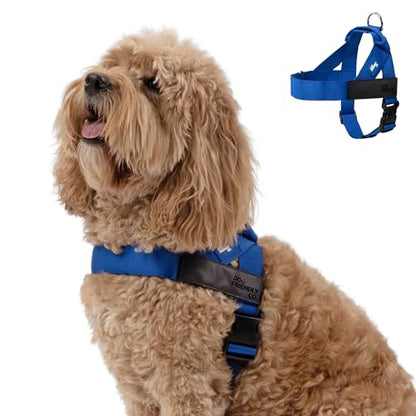 Dog Friendly Co. Dog Harness | Chafe Resistant Webbing, Adjustable Neck & Chest, and Heavy Duty D-Ring | Sturdy, Comfortable, Easy to Use | Classic Blue, Size XXS - color: Classic Blue, size: XX-Small