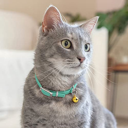 CollarDirect Leather Cat Collar with Removable Bell – Safety Elastic Strap (Breakaway Alternative) – Kitten Collar for Small & Big Boy & Girl Cats - color: Mint Green, size: 6-7 Inch