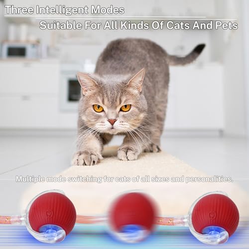 New Upgraded Cat Ball Toy - Speedy Tail 2.0 Cat Toy, Interactive Cat Toy Ball, Stimulating Toys and Juguetes para Gatos, Cat Toys for Bored Indoor（Sound Switchable） (Blue) - color: A-Blue