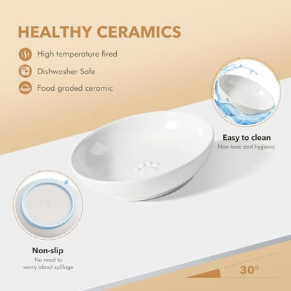 Havniva Cat Bowls Elevated 5.6” Ceramic Cat Bowl with Stand Whisker Friendly Cat Dishes, Cat Food & Water Bowl Set with Two Heights Options, Raised Cat Food Plates for Kitten Anti-Slip Pet Bowls - color: 2 Bowls+Stand- White