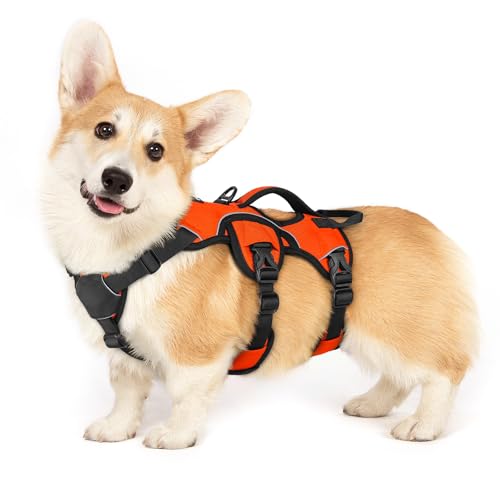 rabbitgoo Escape Proof Dog Harness, Soft Padded Full Body Pet Harness, Reflective Adjustable No Pull Vest with Lift Handle and Lesh Clip for Large Dogs Walking Hiking Training, S, Orange - color: Orange, size: Small (Pack of 1)