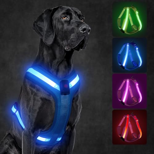 Light Up Dog Harness, LED Dog Harness Rechargeable, Glow in the Dark, LED Dog Vest Reflective, Light Up Harness for Dogs, Dog Lights for Night Walking, Blue, XL - color: Blue