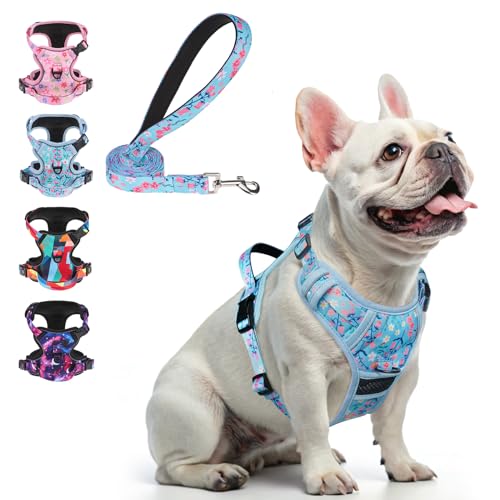 BEAUTYZOO No Pull Dog Harness Small, Adjustable Dog Harness and Leash Set -Easy Wearing with 3 Buckles/Control Handle,No Choke Soft Padded Reflective Pet Vest for Training Walking Hiking,Blue S - color: Blue Flower, size: S: chest 14"-24"
