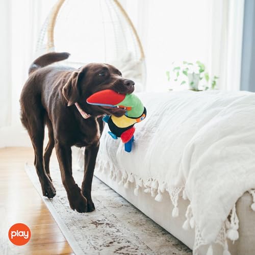 P.L.A.Y. Cute Dog Toys - Fetching Flock, Bird Themed Durable Plush Squeaker Chew Toy for Puppies & Small, Medium, Large Dogs - Machine Washable, Recycled Materials (Tito the Toucan)
