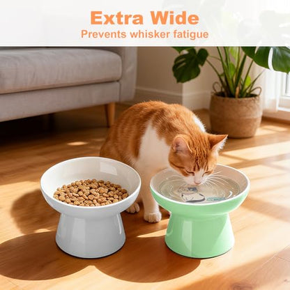 Elevated Cat Bowls,2 Pcs Ceramic Raised Cat Food Bowls with Non-Slip Base,Whisker-Friendly Shallow Design,Lead & Cadmium Free Pet Feeder,Dishwasher and Microwave Safe (Green&Light-Grey) - color: Green&Light-Gray