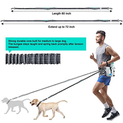 SHINE HAI Retractable Hands Free Dog Leash with Dual Bungees for 2 Dogs, Adjustable Waist Belt, Reflective Stitching Leash for Running Walking Hiking Jogging Biking Black - Gray - color: Gray