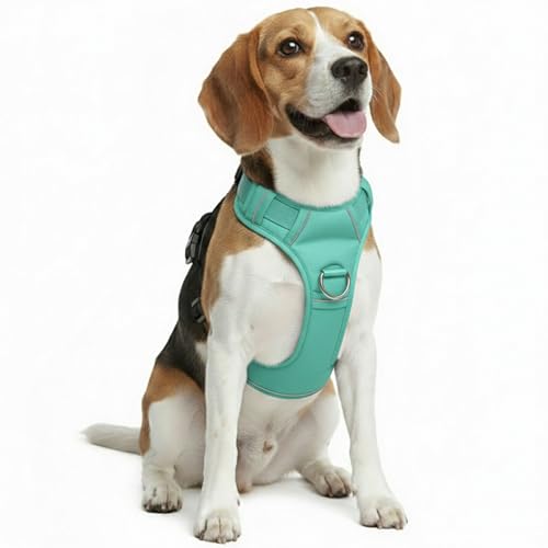 No Pull Dog Harness with 2 Leash Clips, Adjustable Soft Padded Reflective Oxford Pet Vest with Easy Control Handle for Large Dogs (Turquoise, Medium) - color: Turquoise, size: Medium