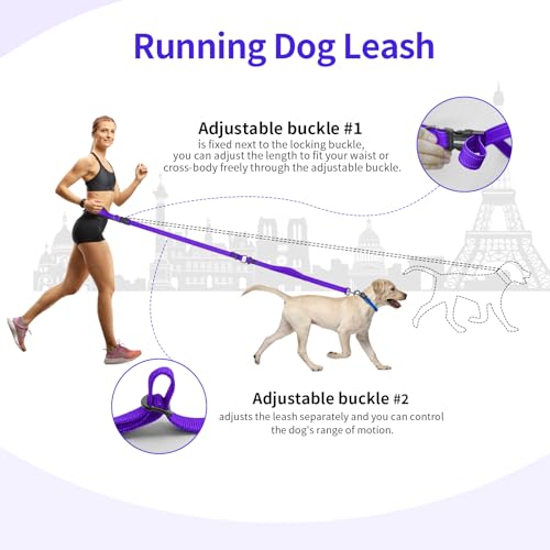 Hands Free Dog Leash by Kazazoo, Adjustable 6-9 FT Waist & Crossbody Leash with Quick Off Buckle, Reflective Stitches for Walking, Jogging,Medium to Large Dogs & Puppies Purple-L - color: Purple, size: L