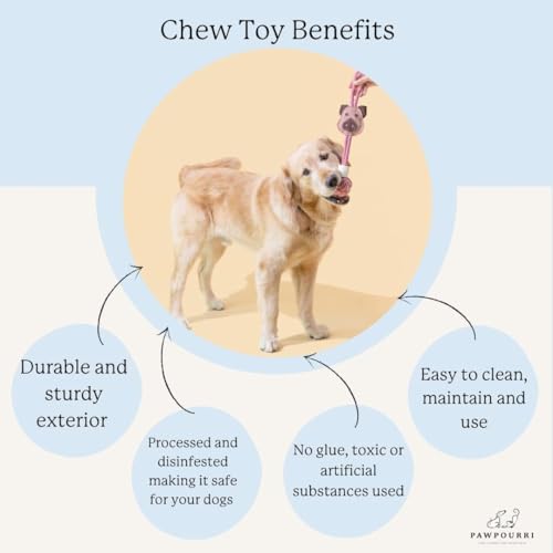 Natural Jute Dog Chew Toy – Tough & Durable Plant-Shaped Puppy Toy, Safe Teething Chew, Interactive Training & Play Toy for Small, Medium & Large Dogs - style: Plant Shape