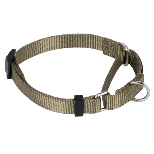 Martingale Collar for Dogs Small Green |Escape - Proof Heavy Duty Nylon Durable No Buckle, Ideal for Training & Daily Walks - color: Military Green, size: Small