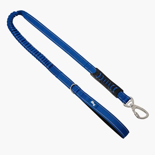 Dog Friendly Co. Bungee Dog Leash | Strain Free & Shock Resistant for Control | Neoprene Padded Handle, Heavy-Duty Carabiner Clip, and D-Ring | Classic Blue, Size Small - color: Classic Blue, size: Small