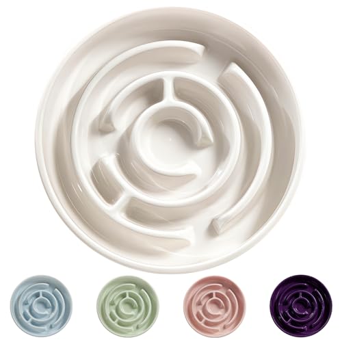 Ceramic Slow Feeder Dog Bowl,1.5 Cups Pet Slow Feeder for Small and Medium Breed,Puzzle Dog Food Dish,Anti-Gulping,Stop Bloat,Preventing Choking(White) - color: White