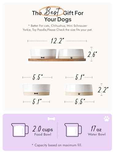LE TAUCI PET Ceramic Dog and Cat Bowls Set with Acacia Wood Tray - 2 Cup Weighted Non-Slip Food and Water Dishes for Small Dogs & Cats, Pet Bowl Set of 2 - size: S-2 Cups