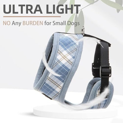PUPTECK Soft Mesh Dog Harness and Leash Set Pet Puppy Cat Comfort Padded Vest No Pull Harnesses, Sky Blue, XS - color: Sky Blue, size: XS (NECK: 10", CHEST: 10"-14")