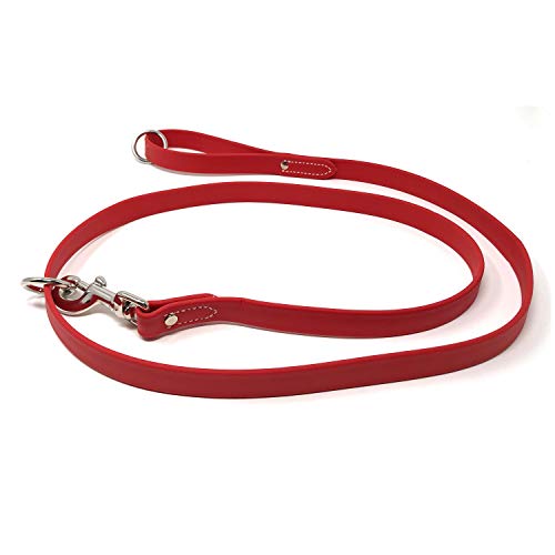 Regal Dog Products Waterproof Leash – 5 ft. Red Dog Leash with Easy to Use Collar Hook, Lightweight, and Proof Training Pet Lead with Vinyl-Coated Webbing for Small, Medium, Large, or XL Dogs - color: Red