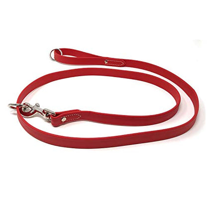 Regal Dog Products Waterproof Leash – 5 ft. Red Dog Leash with Easy to Use Collar Hook, Lightweight, and Proof Training Pet Lead with Vinyl-Coated Webbing for Small, Medium, Large, or XL Dogs - color: Red