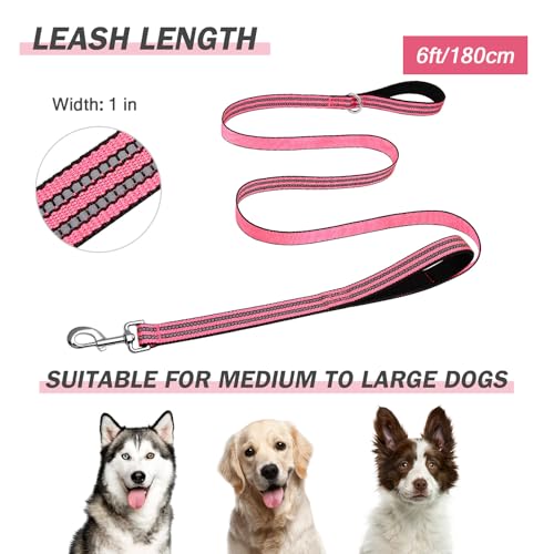 Hikiko 6 Foot Dog Leash with Two Handles Heavy Duty Double Handle Traffic Dog Leash Reflective Training Lead, Hot Pink - color: Hot Pink, size: 1 in x 6 ft
