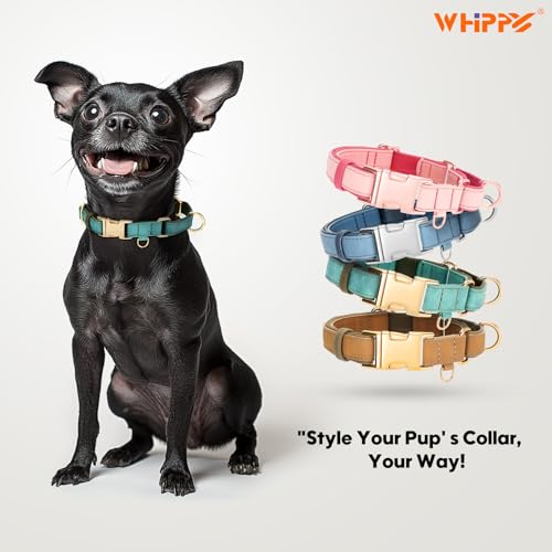 WHIPPY Vegan Leather Dog Collar No Slip Martingale Dog Collar with Quick Release Metal Buckle for Large Medium Small Dogs,Green - color: green, size: S:Fit 11-13" Neck