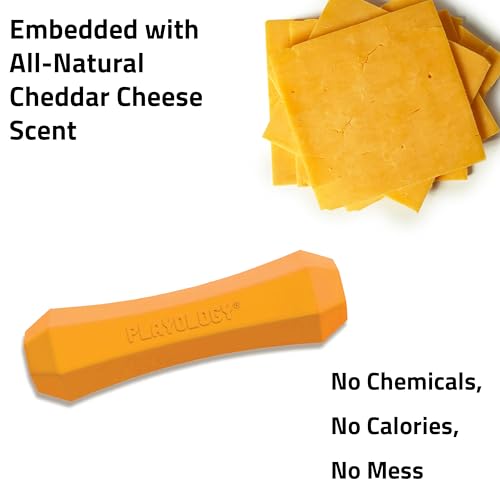 Playology Dog Toys | Squeaky Chew Stick for Large Dogs | Cheddar Cheese Scented Jumbo Fetch Toy | Squeaky Dog Chew Toy - size: Jumbo, style: Cheddar Cheese