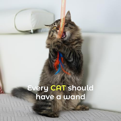 Cat Wand Toy 3 Pack for Cats and Kittens, Feather Wand Cat Teaser with Mesh Tube, Bell and Pom Pom, Interactive Fishing Pole Toy for Indoor Cats
