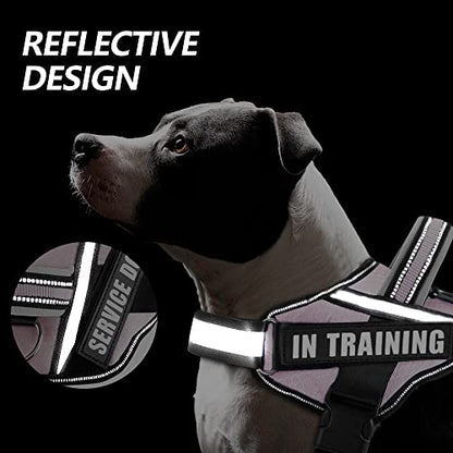 Dog Vest Harness and Patches Set, Animire in Training Service Dog Harness with 10 Dog Patches, Reflective Dog Vest with Handle for Small, Medium, Large, and Extra-Large Dogs - color: Pink, size: LARGE (Chest:26.5-36 Inch)