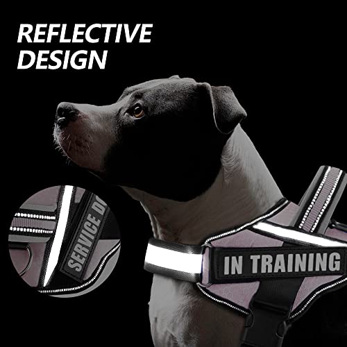 Dog Vest Harness and Patches Set, Animire in Training Service Dog Harness with 10 Dog Patches, Reflective Dog Vest with Handle for Small, Medium, Large, and Extra-Large Dogs - color: Pink, size: SMALL (Chest: 17.5-23 Inch)