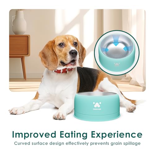 PAWGETHER® Stainless Steel Dog Bowls, Dog Food Water Bowl with Non-Slip Base Two-Piece Design Easy Clean Dishwasher Safe Mint Green 34oz + 12oz - color: Mint Green (34oz + 12oz)