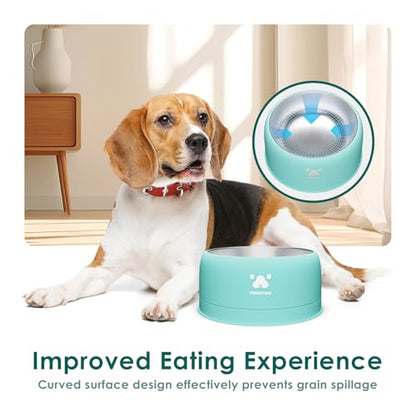 PAWGETHER® Stainless Steel Dog Bowls, Dog Food Water Bowl with Non-Slip Base Two-Piece Design Easy Clean Dishwasher Safe Mint Green 34oz + 12oz - color: Mint Green (34oz + 12oz)